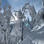 דירה Stube9 Am Feldberg, Direkt An Der Skipiste, In-ski Out פלדברג