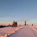 דירה Stube9 Am Feldberg, Direkt An Der Skipiste, In-ski Out *