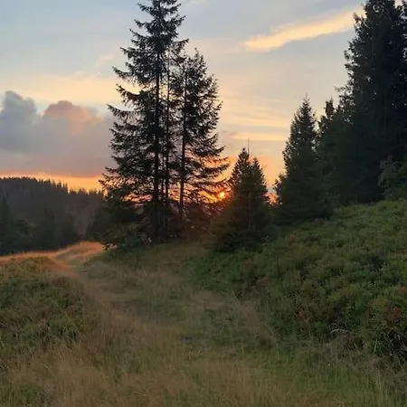 Stube9 Am Feldberg, Direkt An Der Skipiste, In-ski Out Feldberg (Baden-Wurttemberg)