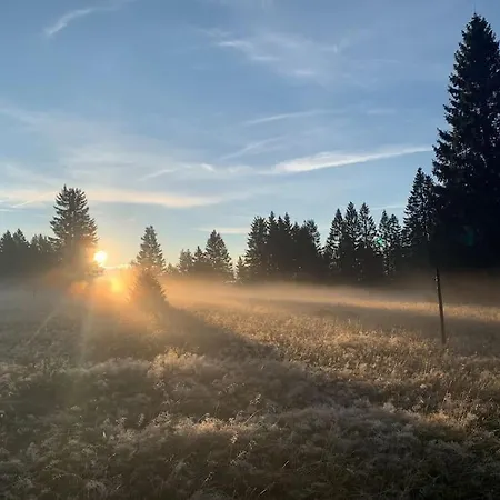 Stube9 Am Feldberg, Direkt An Der Skipiste, In-ski Out *