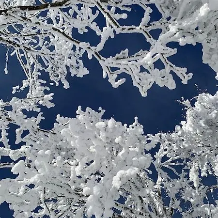 Stube9 Am Feldberg, Direkt An Der Skipiste, In-ski Out Apartment