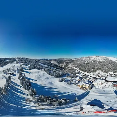 Stube9 Am Feldberg, Direkt An Der Skipiste, In-ski Out Διαμέρισμα Feldberg (Baden-Wurttemberg)