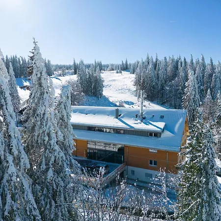 Stube9 Am Feldberg, Direkt An Der Skipiste, In-ski Out *