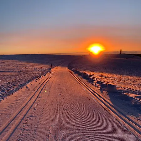 Stube9 Am Feldberg, Direkt An Der Skipiste, In-ski Out
