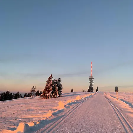 Διαμέρισμα Stube9 Am Feldberg, Direkt An Der Skipiste, In-ski Out *