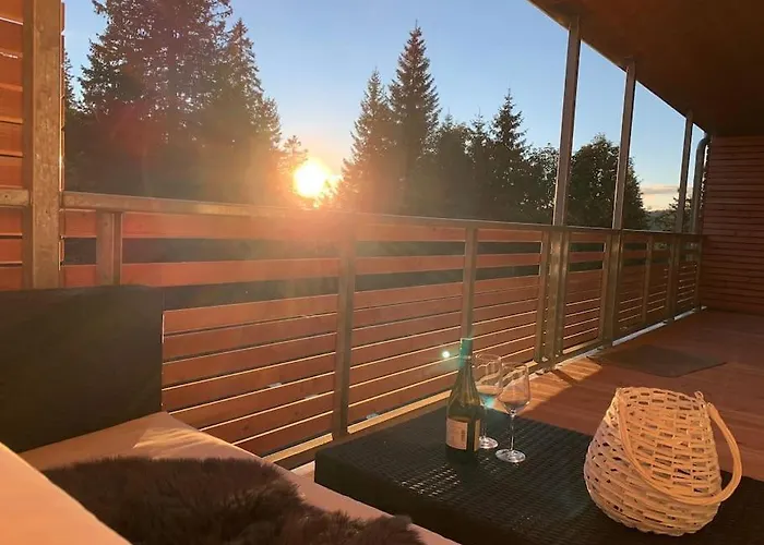 Stube9 Am Feldberg, Direkt An Der Skipiste, In-ski Out *