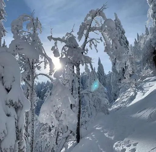 شقة Stube9 Am Feldberg, Direkt An Der Skipiste, In-ski Out فيلدبرج