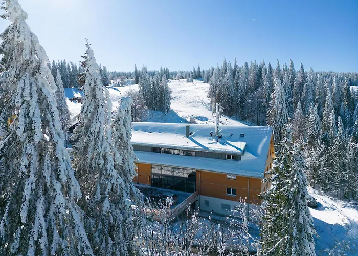 Stube9 Am Feldberg, Direkt An Der Skipiste, In-ski Out *