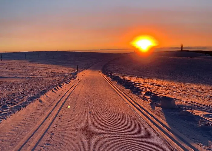 Stube9 Am Feldberg, Direkt An Der Skipiste, In-ski Out